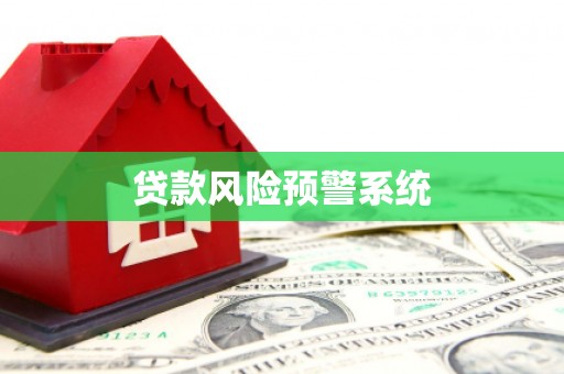 寻甸贷款风险预警系统