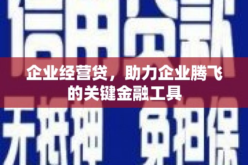 寻甸企业经营贷，助力企业腾飞的关键金融工具