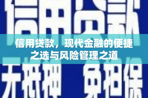寻甸信用贷款，现代金融的便捷之选与风险管理之道
