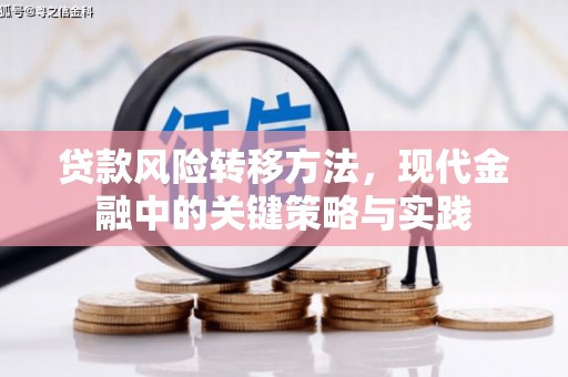 寻甸贷款风险转移方法，现代金融中的关键策略与实践