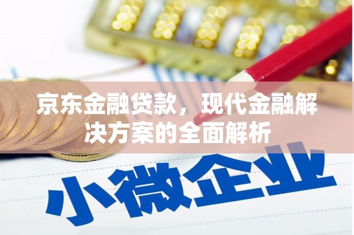 寻甸京东金融贷款，现代金融解决方案的全面解析