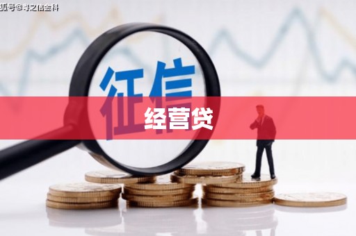 寻甸经营贷