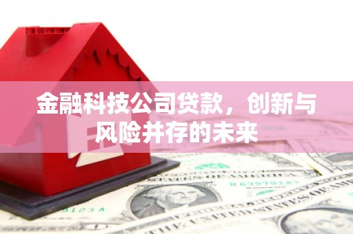 寻甸金融科技公司贷款，创新与风险并存的未来