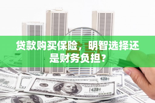 寻甸贷款购买保险，明智选择还是财务负担？