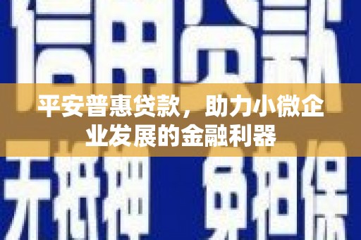寻甸平安普惠贷款，助力小微企业发展的金融利器