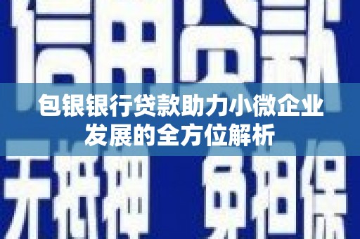寻甸包银银行贷款助力小微企业发展的全方位解析