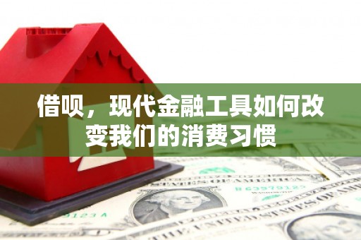 寻甸借呗，现代金融工具如何改变我们的消费习惯