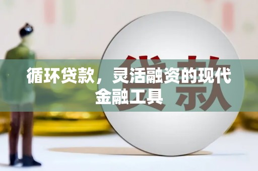 寻甸循环贷款，灵活融资的现代金融工具