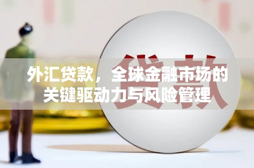 寻甸外汇贷款，全球金融市场的关键驱动力与风险管理
