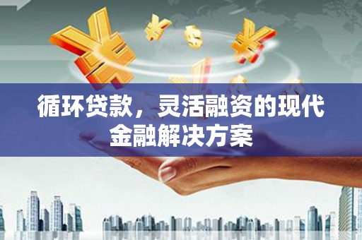 寻甸循环贷款，灵活融资的现代金融解决方案
