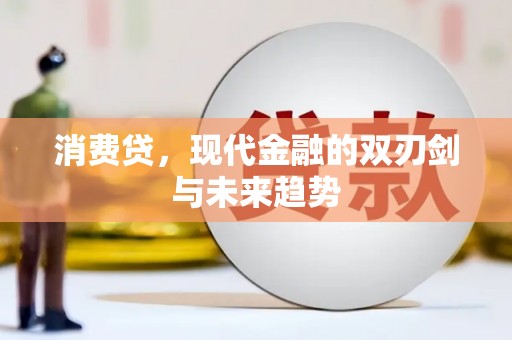 寻甸消费贷，现代金融的双刃剑与未来趋势