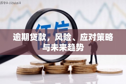 寻甸逾期贷款，风险、应对策略与未来趋势