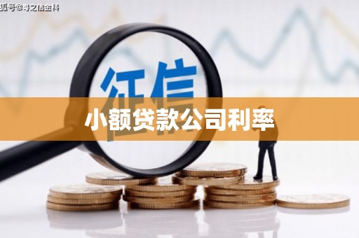 寻甸小额贷款公司利率
