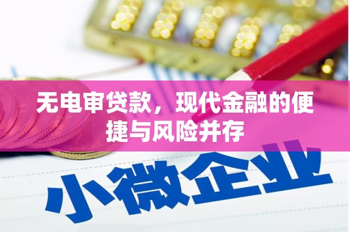 寻甸无电审贷款，现代金融的便捷与风险并存