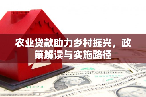 寻甸农业贷款助力乡村振兴，政策解读与实施路径