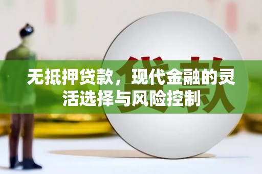 寻甸无抵押贷款，现代金融的灵活选择与风险控制