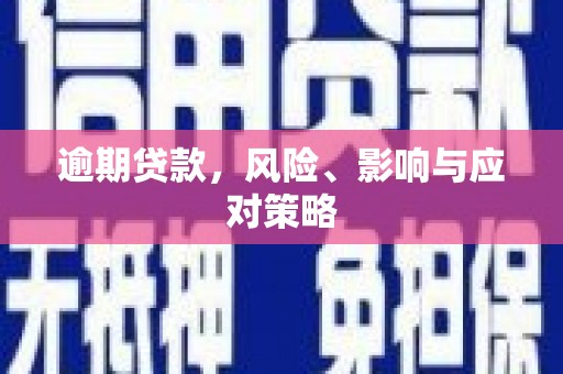 寻甸逾期贷款，风险、影响与应对策略