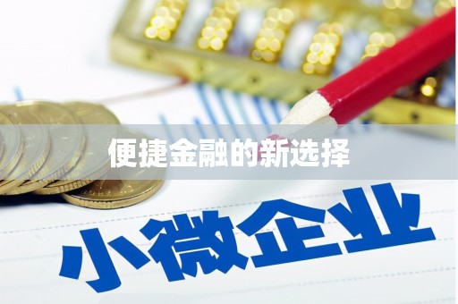 寻甸便捷金融的新选择
