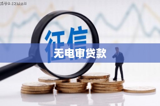 寻甸无电审贷款