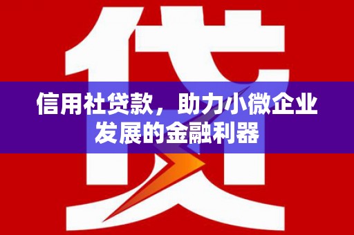 寻甸信用社贷款，助力小微企业发展的金融利器