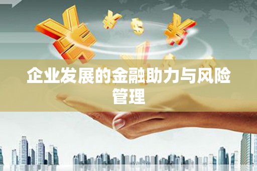 寻甸企业发展的金融助力与风险管理