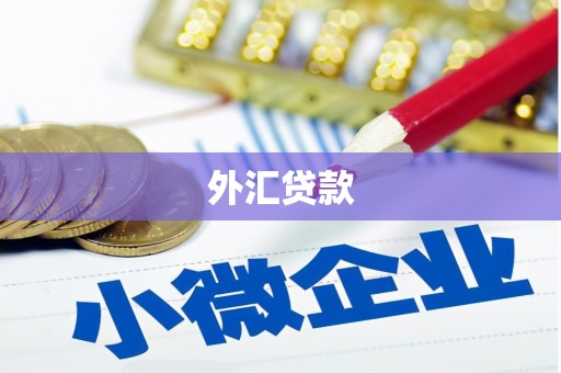 寻甸外汇贷款
