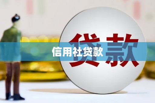 寻甸信用社贷款