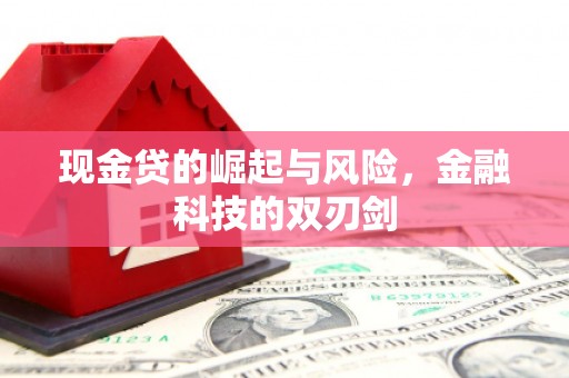寻甸现金贷的崛起与风险，金融科技的双刃剑