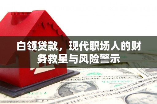 寻甸白领贷款，现代职场人的财务救星与风险警示
