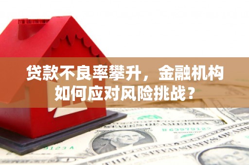 寻甸贷款不良率攀升，金融机构如何应对风险挑战？