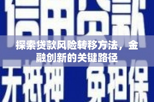 寻甸探索贷款风险转移方法，金融创新的关键路径