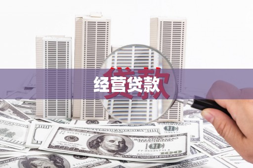 寻甸经营贷款