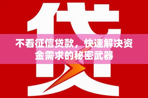 寻甸不看征信贷款，快速解决资金需求的秘密武器