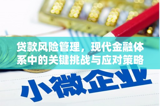 寻甸贷款风险管理，现代金融体系中的关键挑战与应对策略