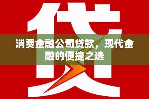 寻甸消费金融公司贷款，现代金融的便捷之选