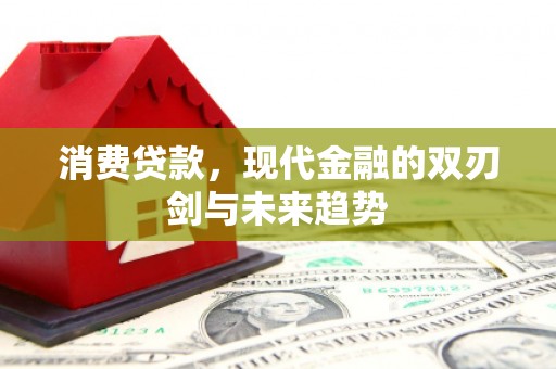 寻甸消费贷款，现代金融的双刃剑与未来趋势