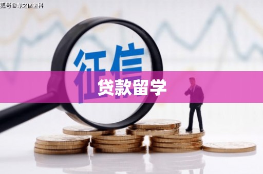 寻甸贷款留学