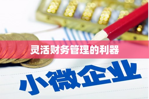 寻甸灵活财务管理的利器