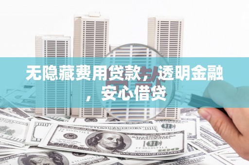寻甸无隐藏费用贷款，透明金融，安心借贷
