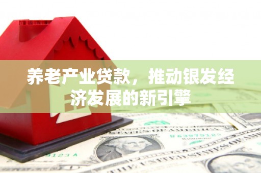 寻甸养老产业贷款，推动银发经济发展的新引擎