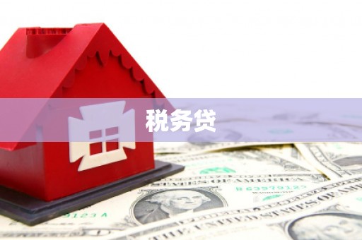 寻甸税务贷