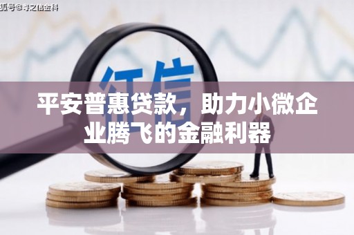寻甸平安普惠贷款，助力小微企业腾飞的金融利器
