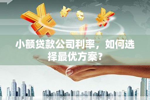 寻甸小额贷款公司利率，如何选择最优方案？