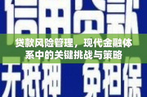 寻甸贷款风险管理，现代金融体系中的关键挑战与策略