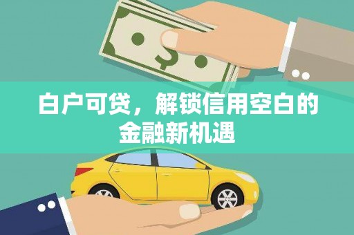 寻甸白户可贷，解锁信用空白的金融新机遇