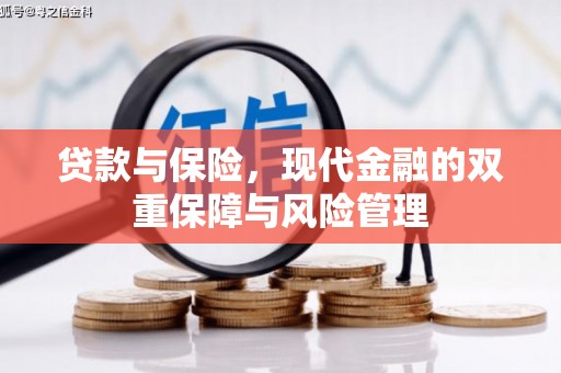 寻甸贷款与保险，现代金融的双重保障与风险管理