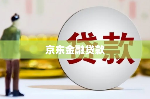 寻甸京东金融贷款