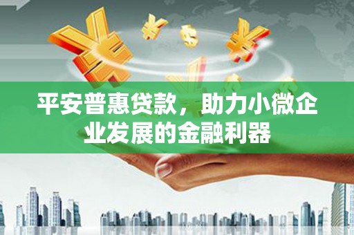 寻甸平安普惠贷款，助力小微企业发展的金融利器