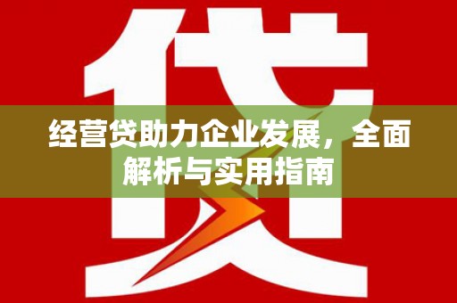 寻甸经营贷助力企业发展，全面解析与实用指南
