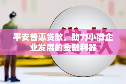 寻甸平安普惠贷款，助力小微企业发展的金融利器